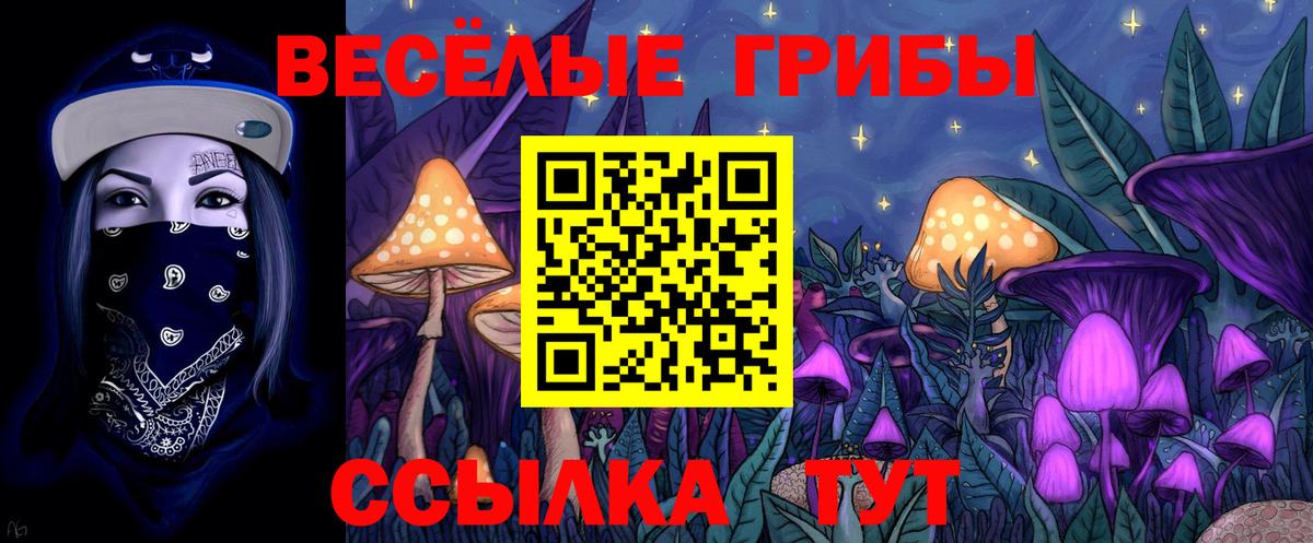 Псилоцибиновые грибы мицелий  Вход с VPN  Зерноград 