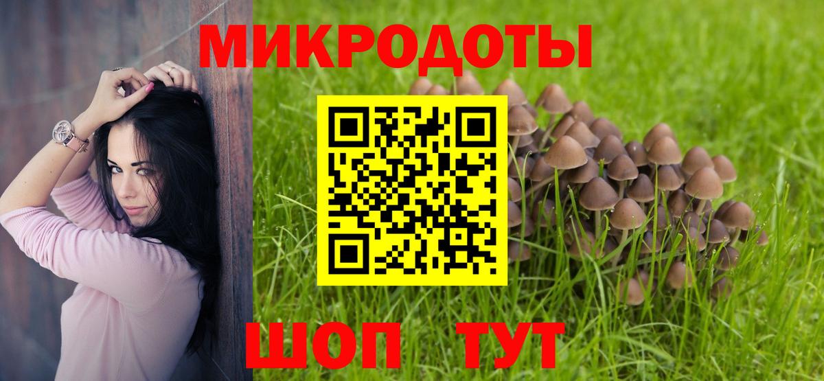 Псилоцибиновые грибы MAGIC MUSHROOMS Зерноград